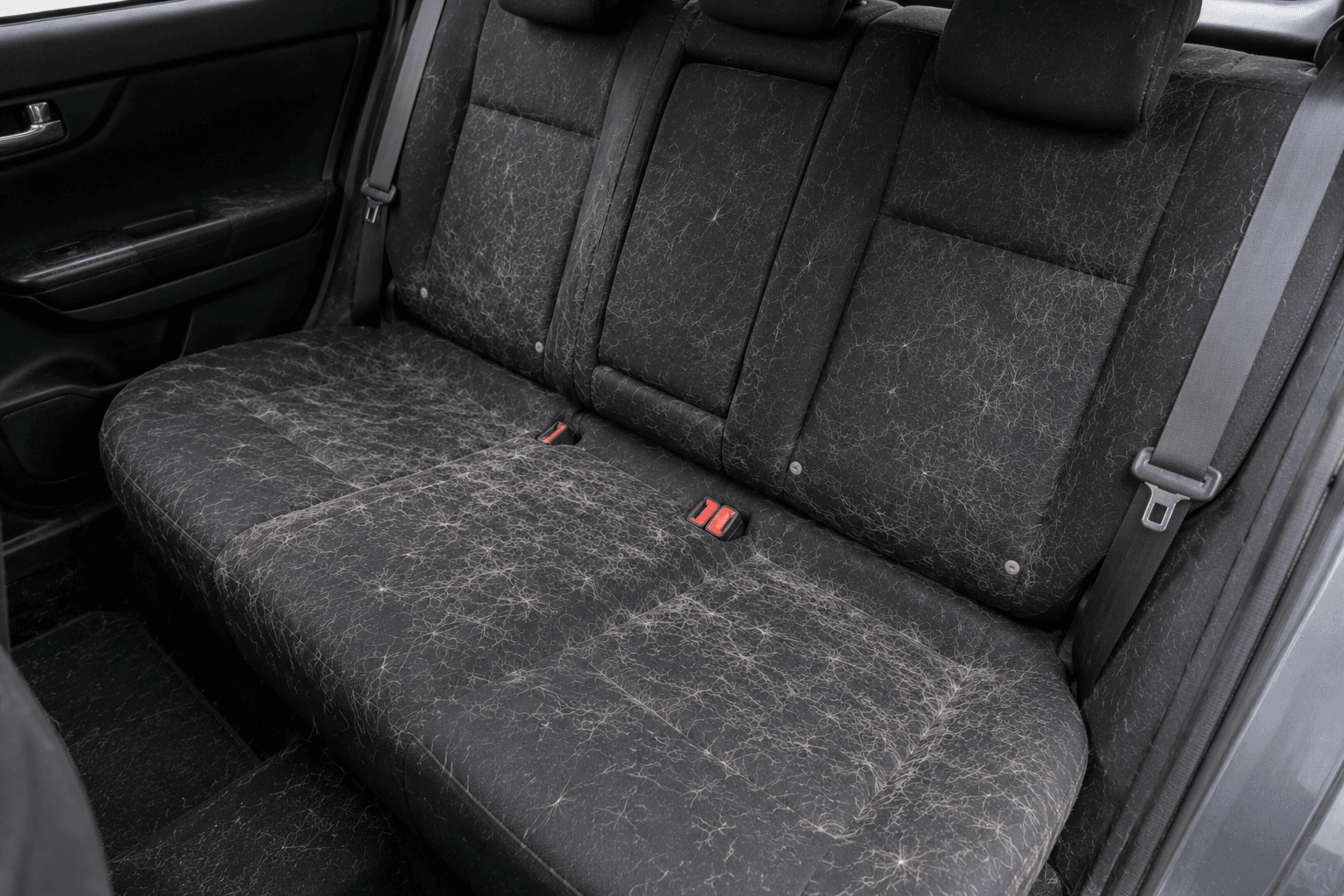 Hondenharen verwijderen uit auto bekleding - Bankstelreinigers