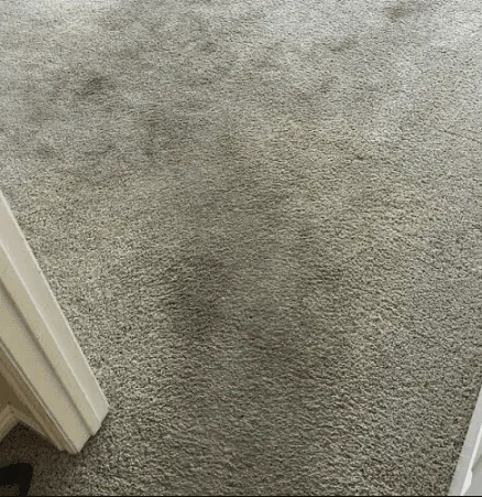 Ingrained stain removed — before cleaning