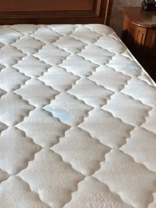 Fresh and clean again — after cleaning