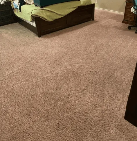 Heavily soiled carpet — after cleaning