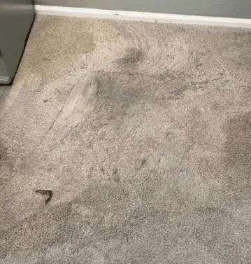 Traffic lanes refreshed — before cleaning