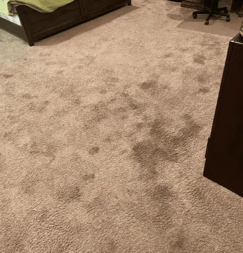 Heavily soiled carpet — before cleaning